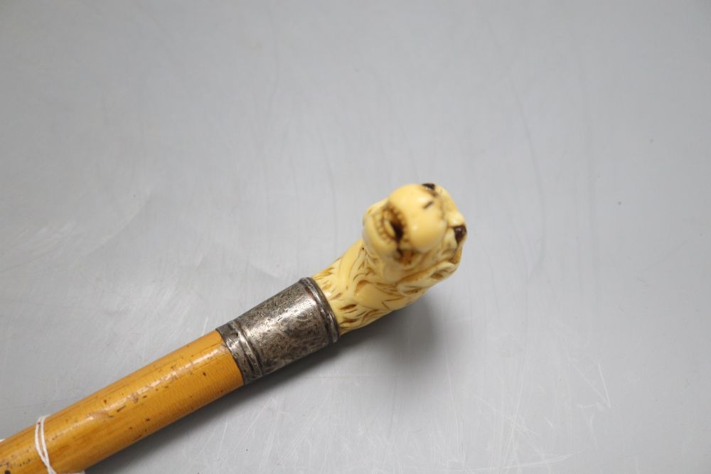 A Victorian ivory hounds head handle walking cane